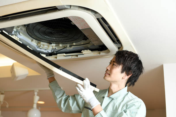 Best Air Duct Mold Removal  in New Market, VA