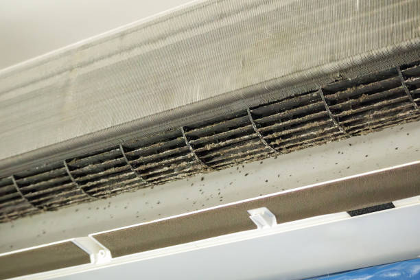 Best Ventilation Cleaning Services  in New Market, VA